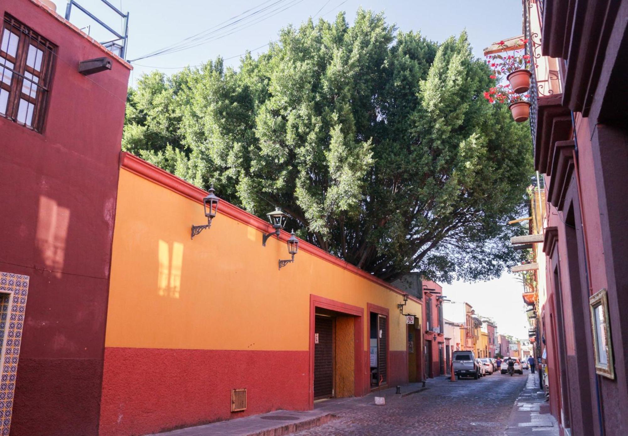 فندق Casa Relox 43 سان ميغيل دي الليندي المظهر الخارجي الصورة